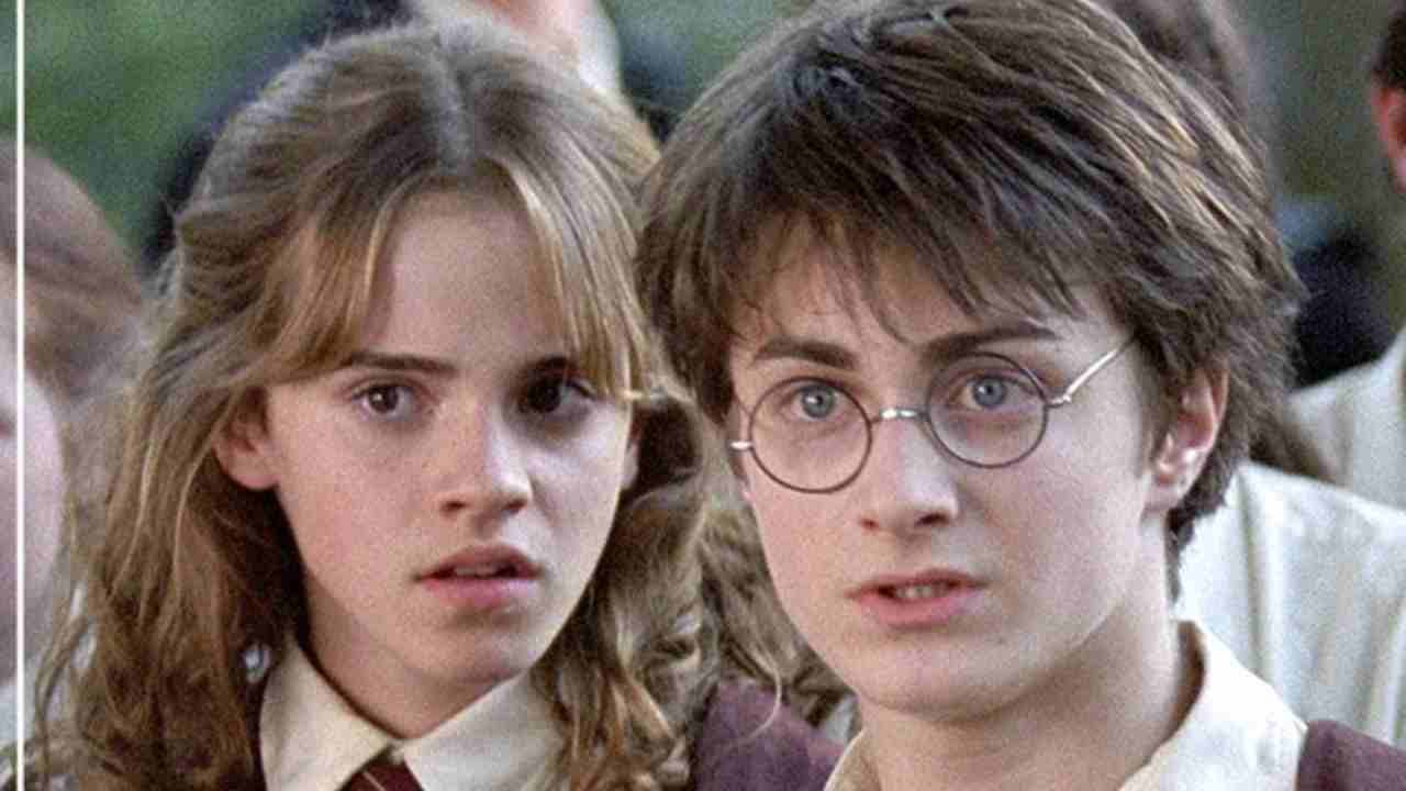 Harry Potter protagonisti