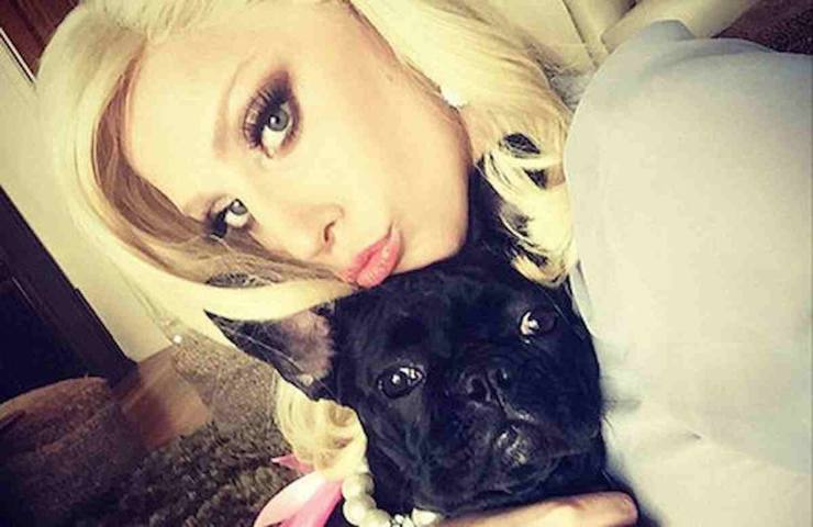 Lady Gaga cani rapiti ritrovati