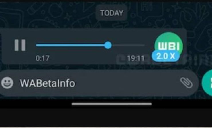 Vocali audio Whatsapp (Screenshot Instagram)