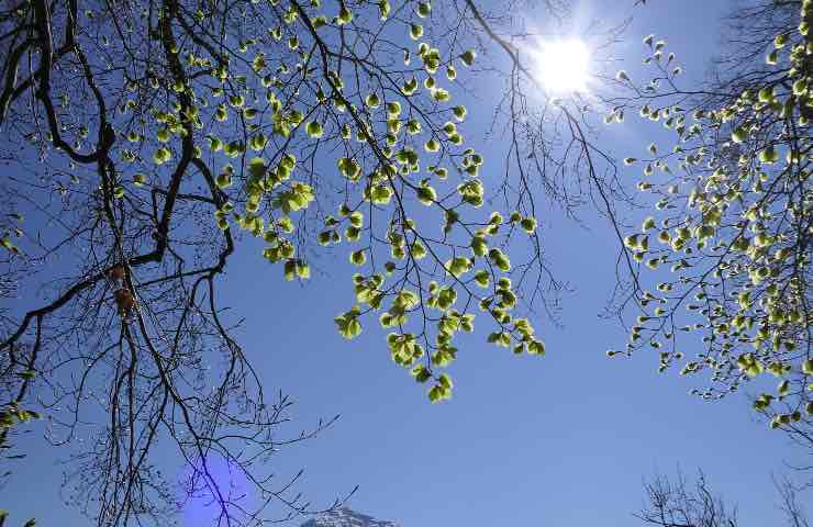 Allerta meteo Italia bollino rosso Ferragosto città