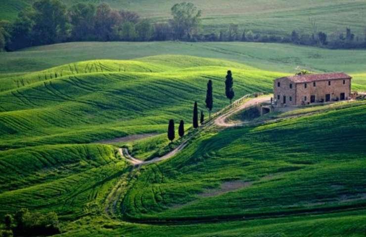 Colline toscane (Facebook)