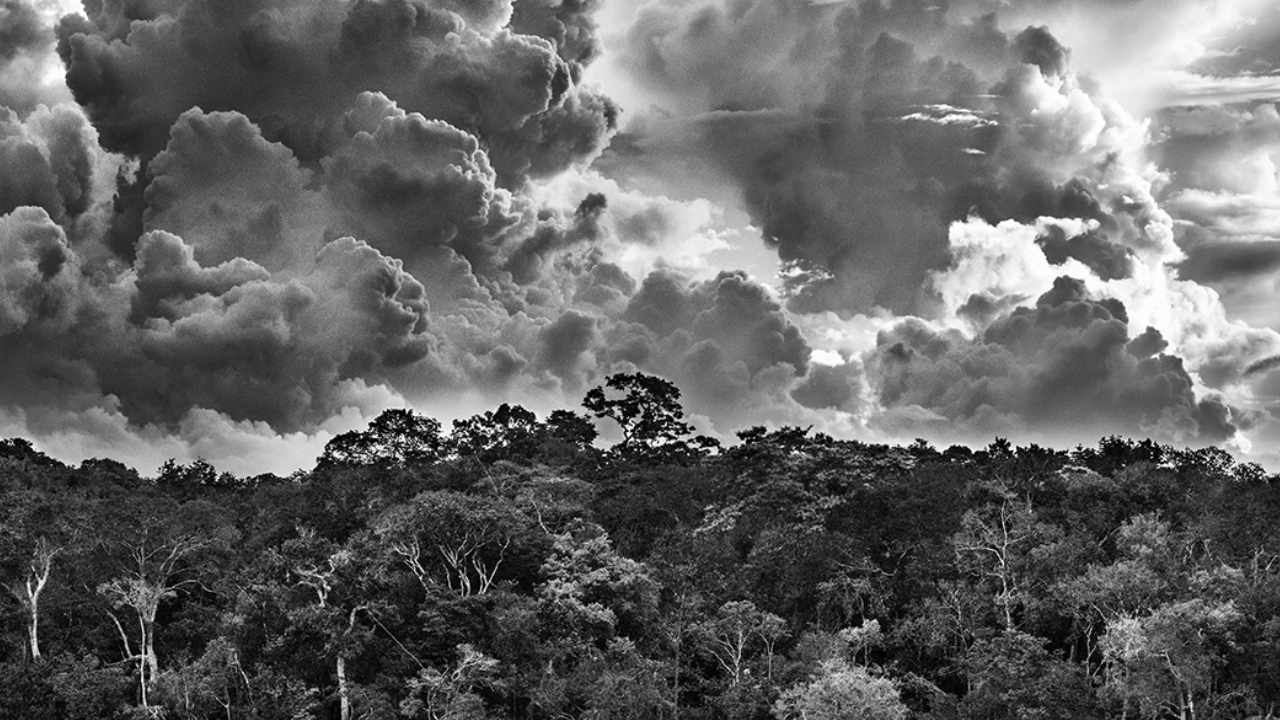 Salgado Amazônia