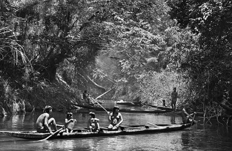 Salgado Amazônia