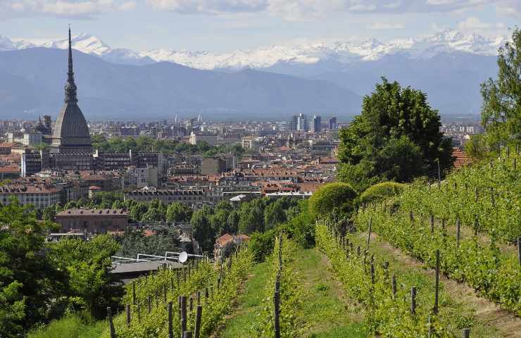 Contemporary Art Torino