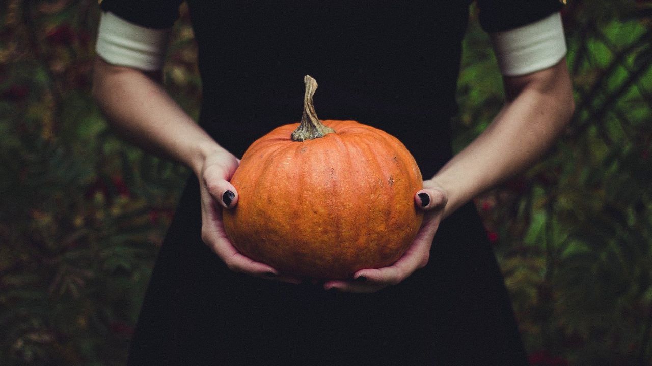 halloween zucche italia