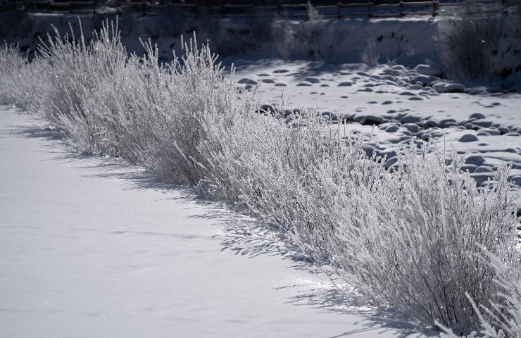 Allerta meteo arrivo neve bassa quota gelo