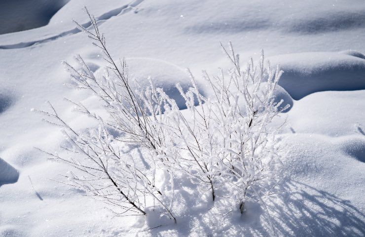 Allerta meteo arrivo neve bassa quota gelo