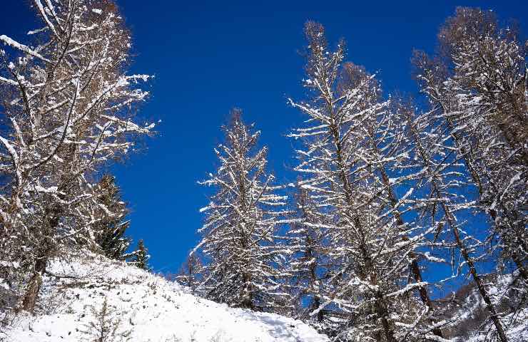 Allerta meteo arrivo neve bassa quota gelo