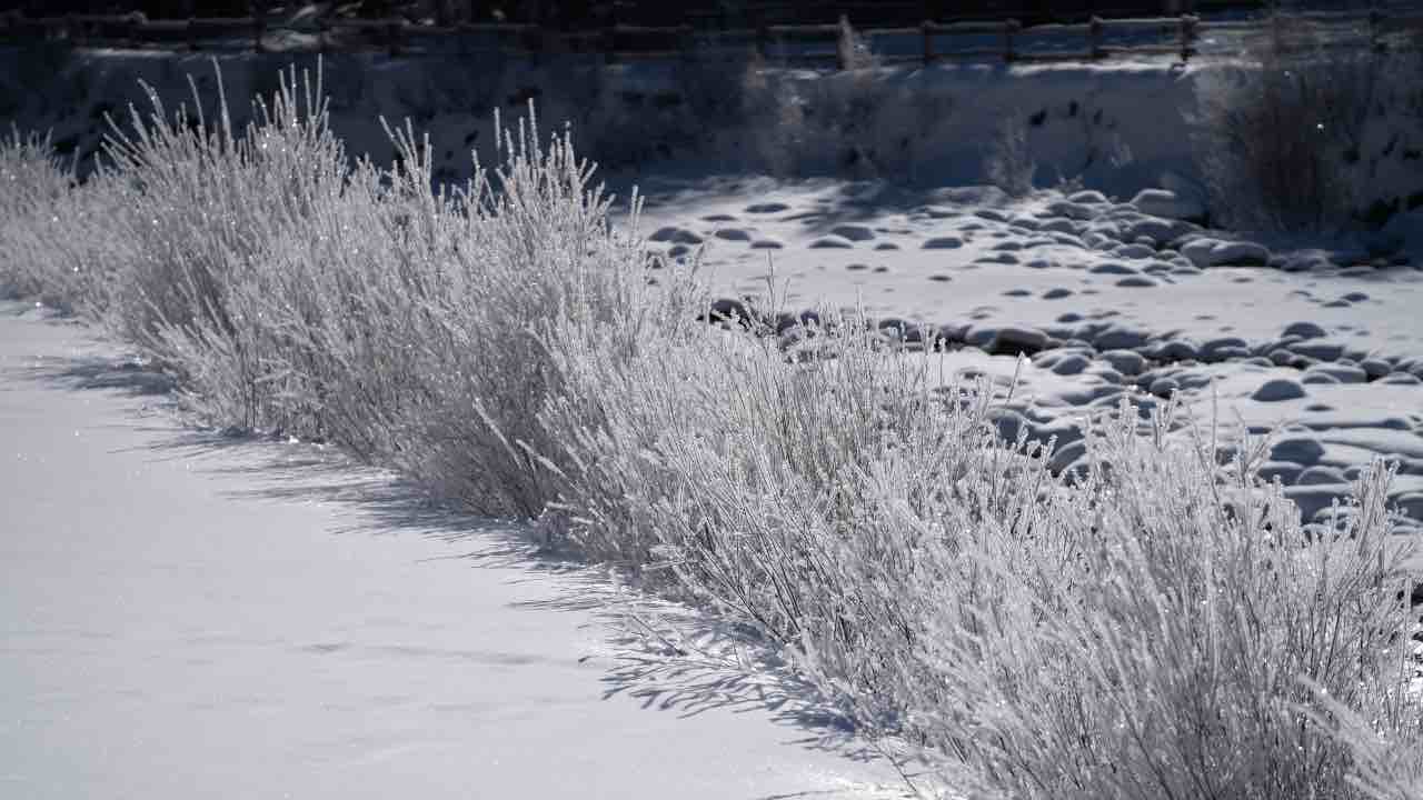 Allerta meteo arrivo neve bassa quota gelo