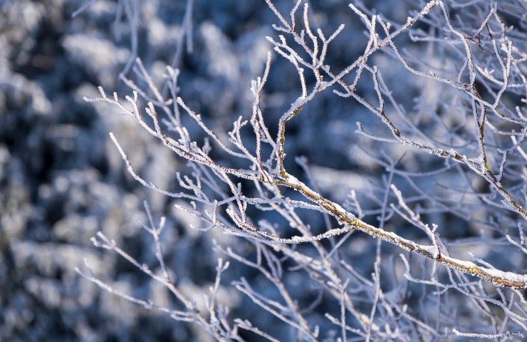 Ondata forte freddo Italia gelo neve pioggia