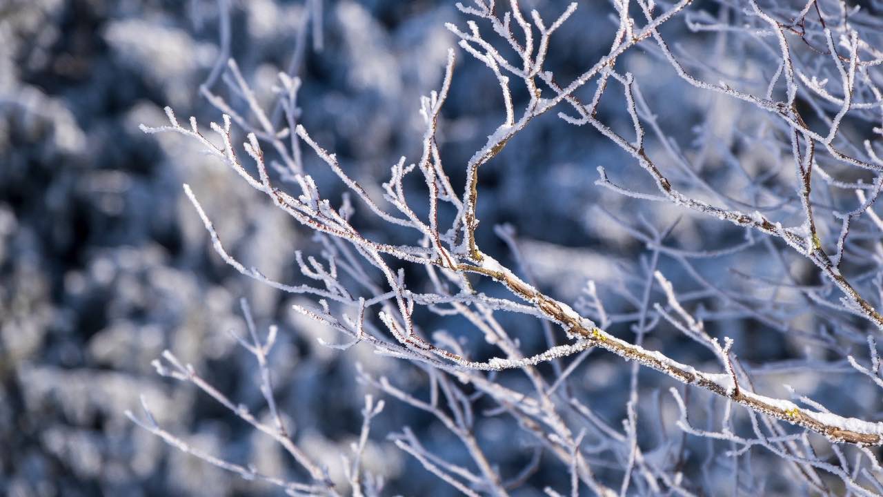 Ondata forte freddo Italia gelo neve pioggia