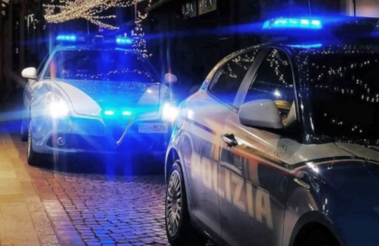 Automobili della polizia