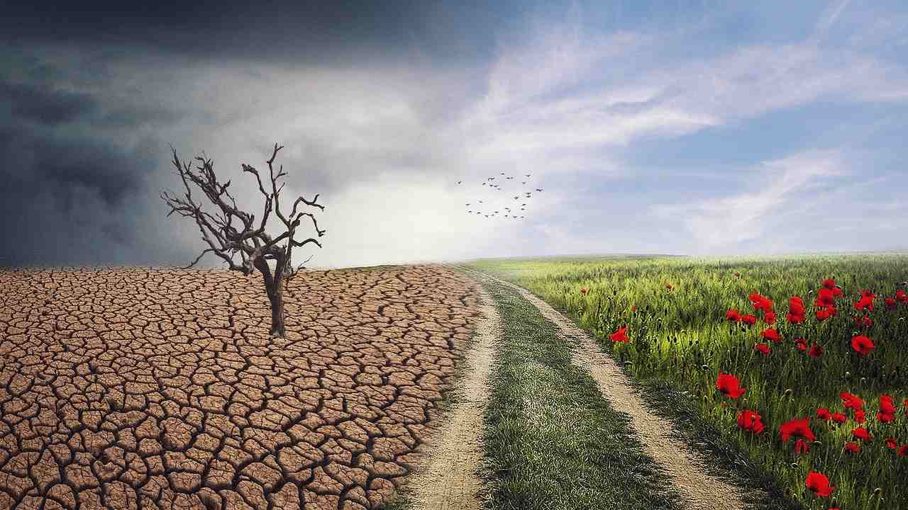 Cambiamenti climatici: in arrivo nuove pandemie. L'allarme degli scienziati
