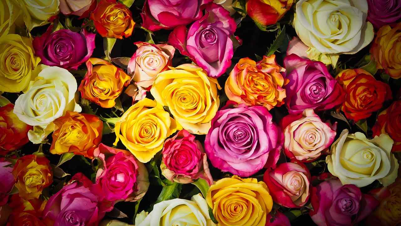 Test personalità, scegli il tuo fascio di fiori preferito: rivelerà come sei davvero in amore