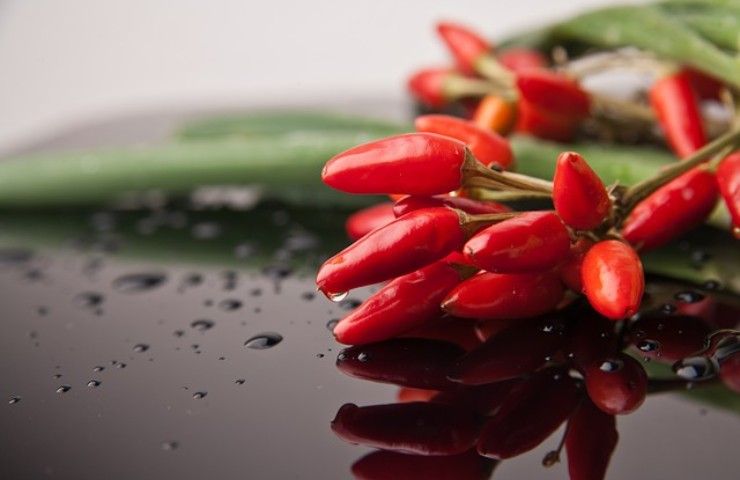 Provato mai a mangiare il peperoncino con il colesterolo alterato? Riscontrerai conseguenze devastanti! 