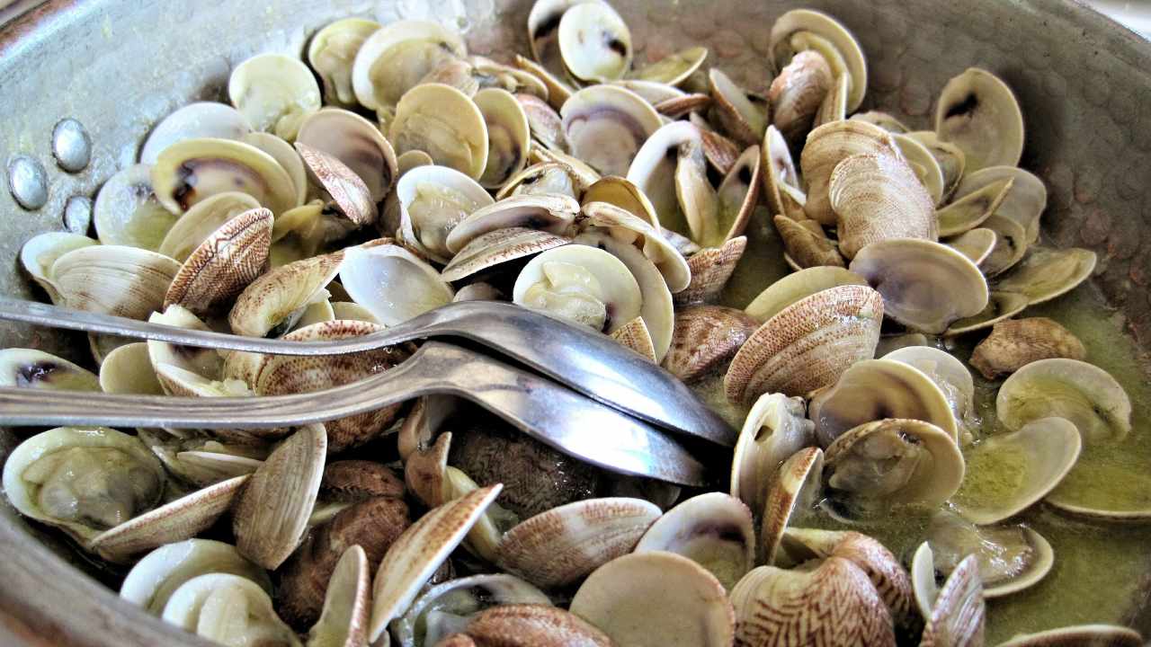 vongole consigli