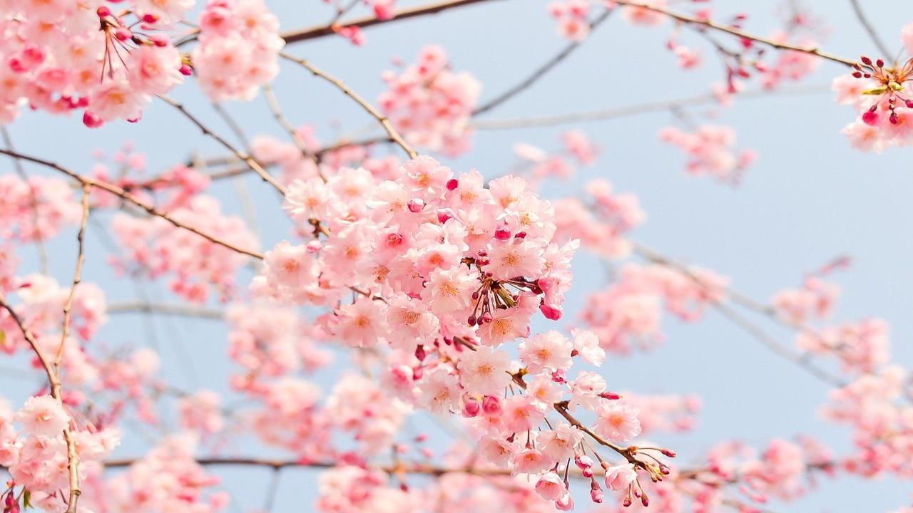 Meteo primavera