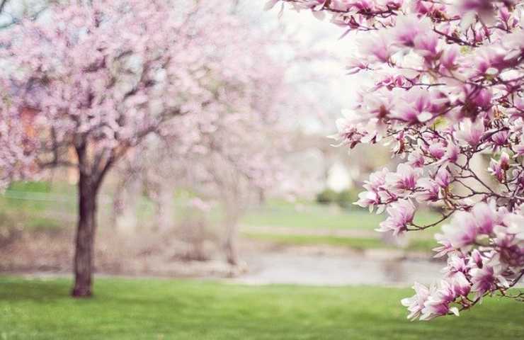 Meteo primavera