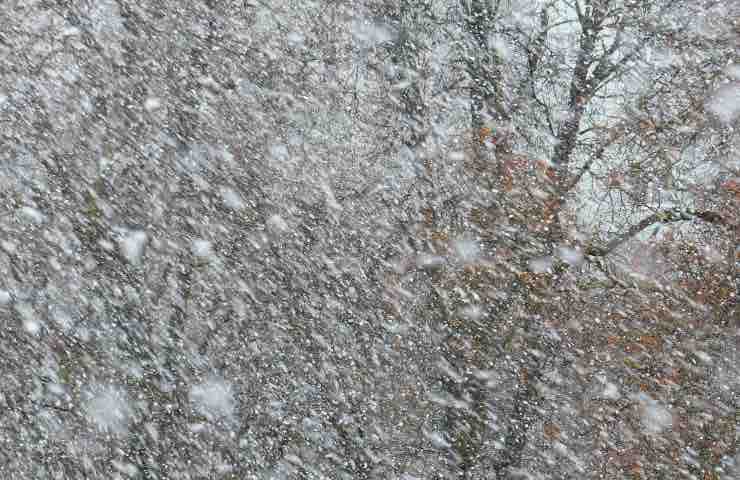 Bufera neve scout pantaloncini ospedale