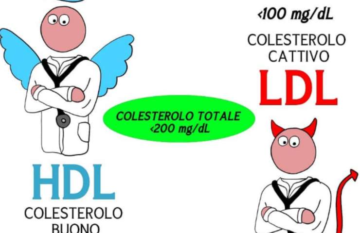 Colesterolo 