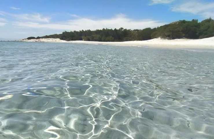 Sardegna cavallette