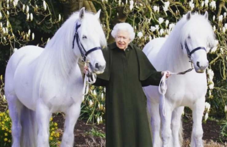 Sua Maestà con i pony