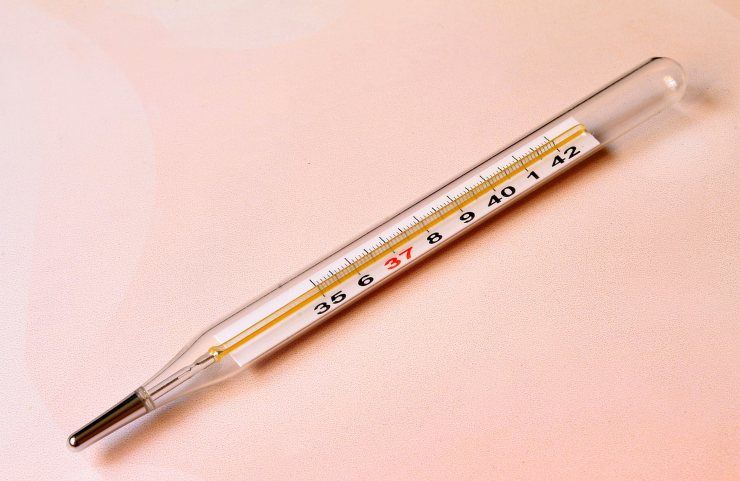 A thermometer