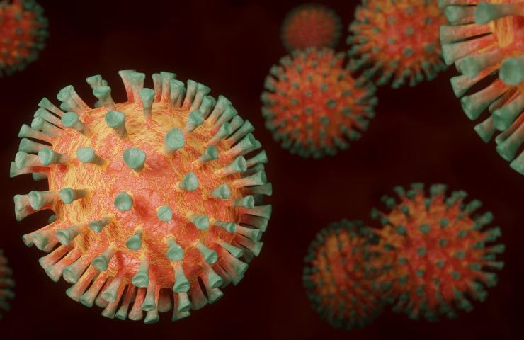 vaiolo delle scimmie origine virus