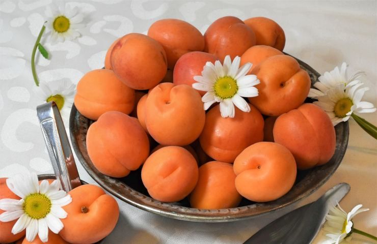 Albicocche