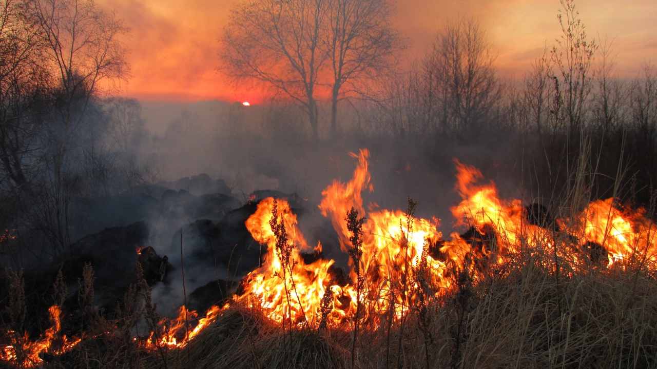 Incendio Roma nube