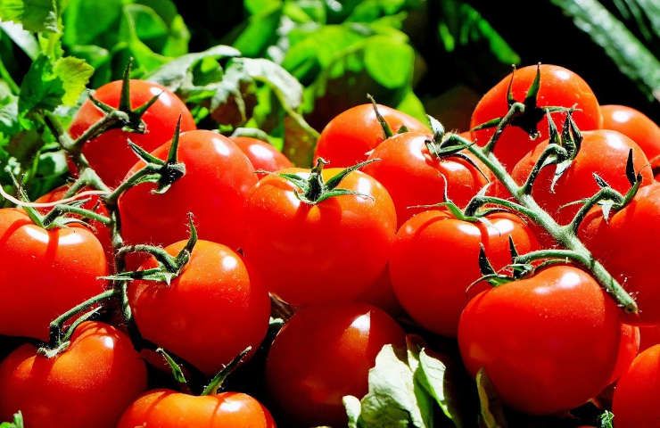 5 benefici corpo mangiare pomodori