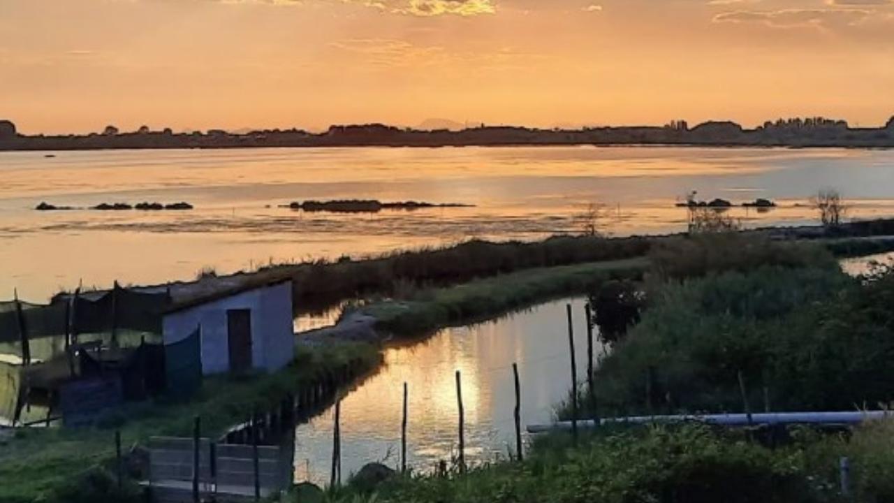 Disgrazia donna ritrovata morta al mare