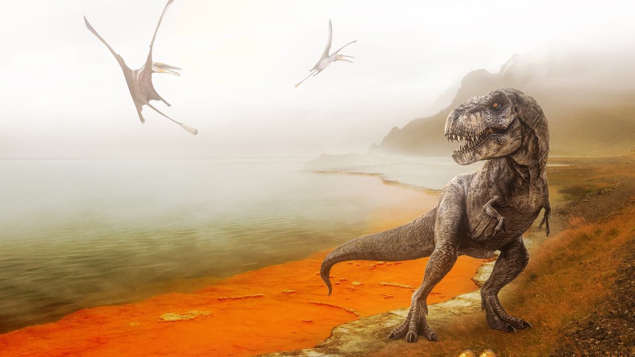 scoperta dinosauro più grande T-Rex