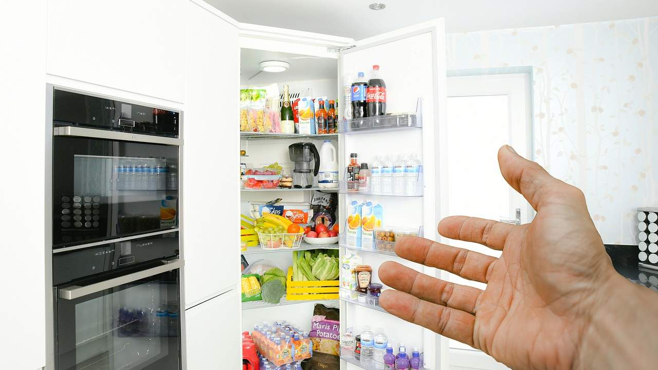 odori frigorifero metodo