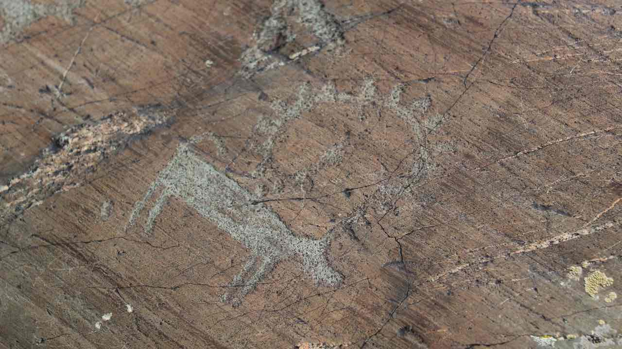 scoperta pitture rupestri misteriose
