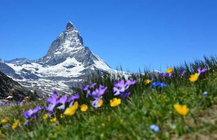 Alpi allarme scioglimento