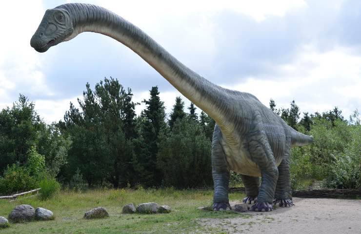 scoperta resti dinosauro enorme