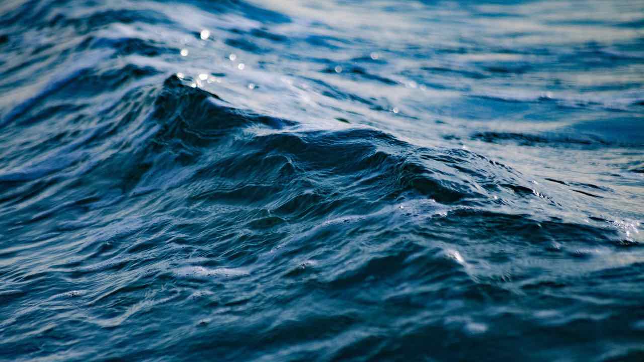 Petrolio oceani studio verità sconvolgente