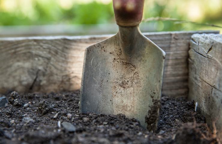 Tesoro giardino scava trova alta cifra scelta