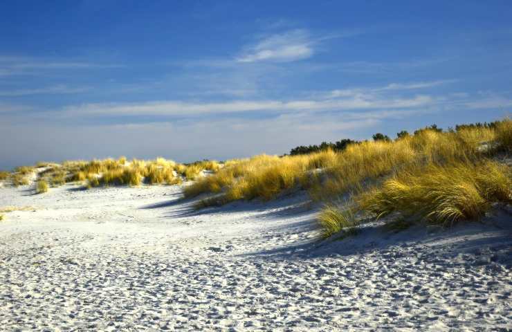 Scoperta spiaggia pericolo