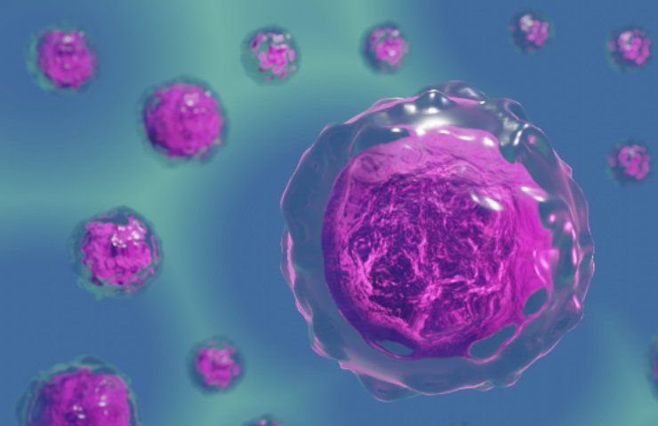 Virus batterio