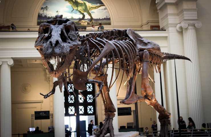 scoperta ricerca T-Rex