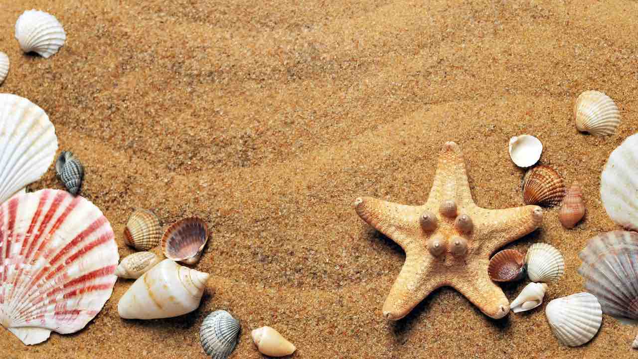 mare oggetti sotto sabbia