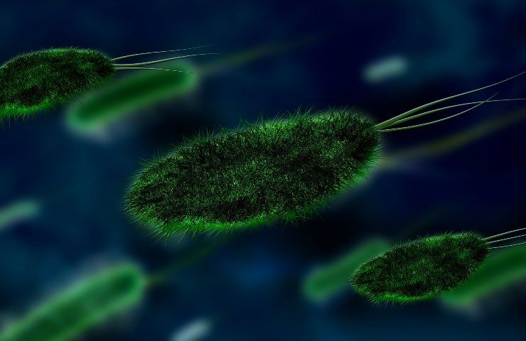 allarme legionella chiuso albergo