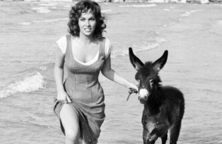 Gina Lollobrigida malore ospedale