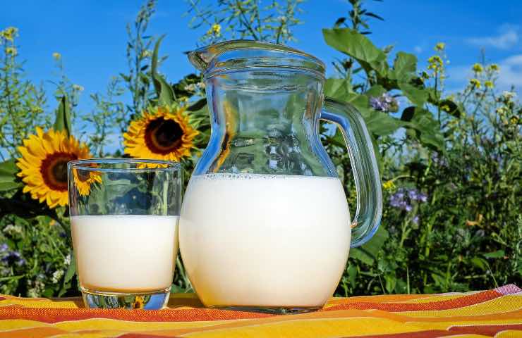 Latte prezzi aumento allarme quanto costare litro