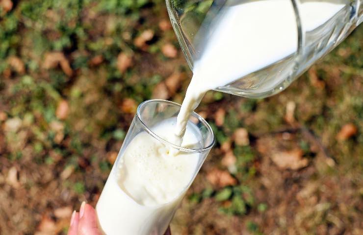 Latte prezzi aumento allarme quanto costare litro