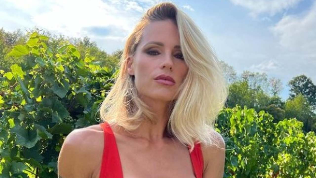 michelle hunziker panino