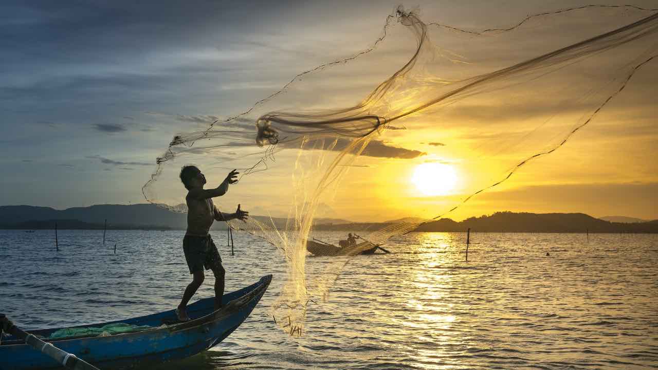 Esemplare pesce incredibile