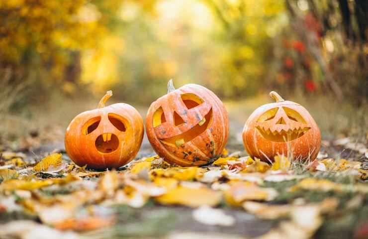 Zucca tagliata per Halloween